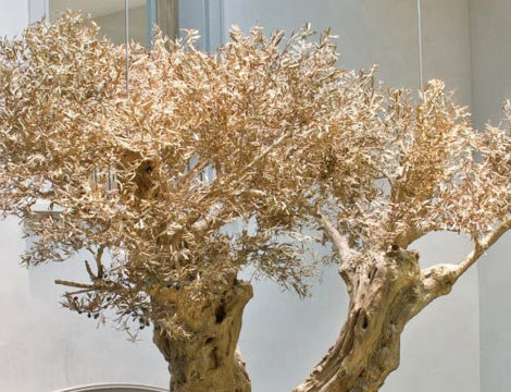 Escultura Olivo en latón para Milán